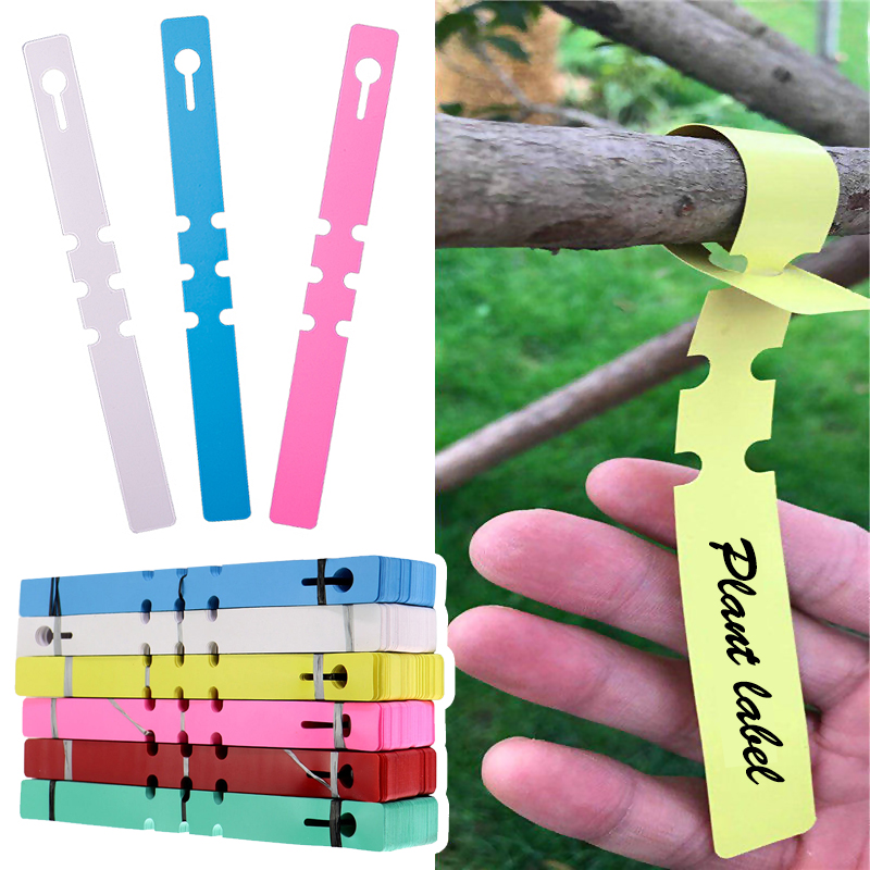 Gardening Tools Labeled - 50 pçs marcadores de plantas à