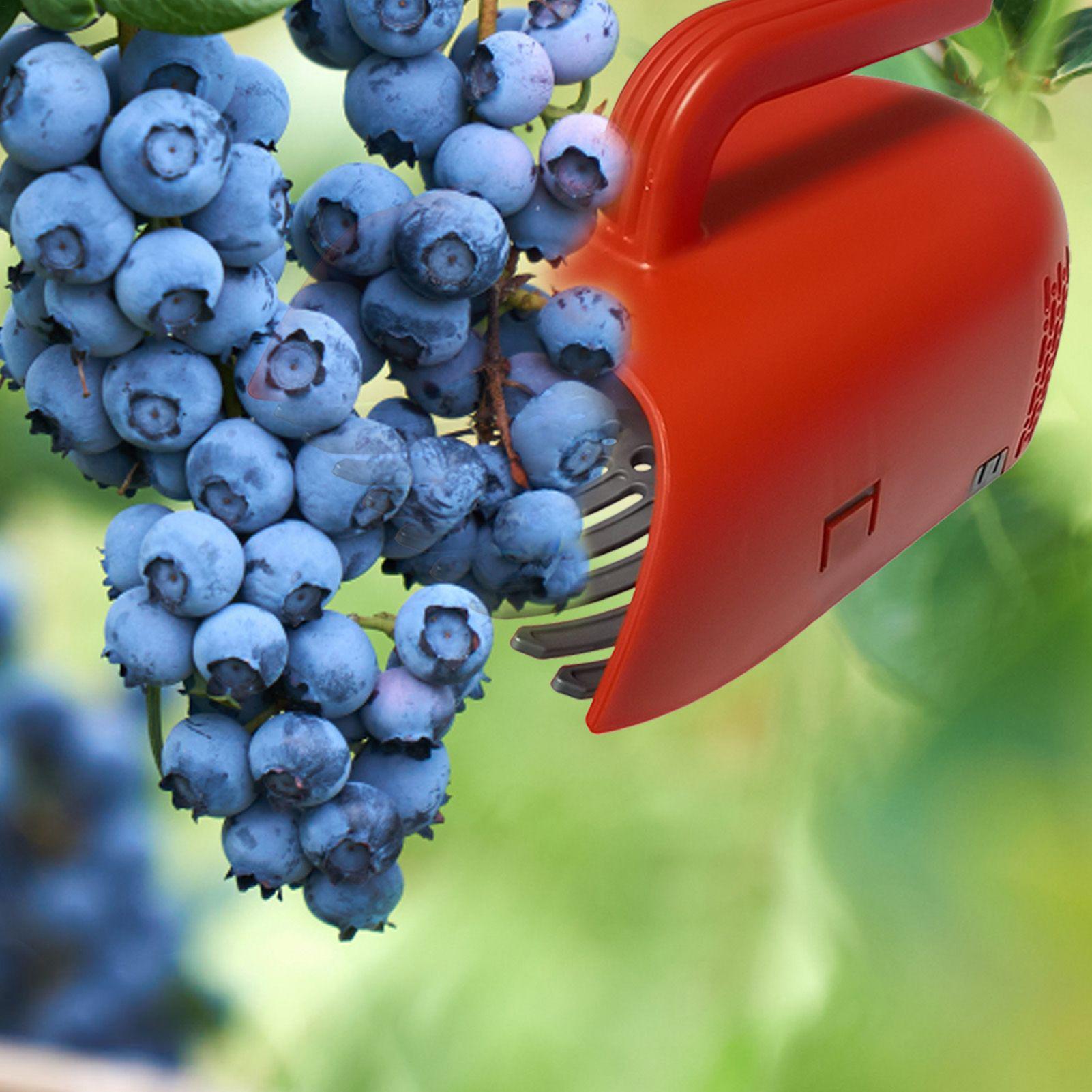 Gardening Tools Rake - Colhedor de Frutas com Cabo Ergonômico