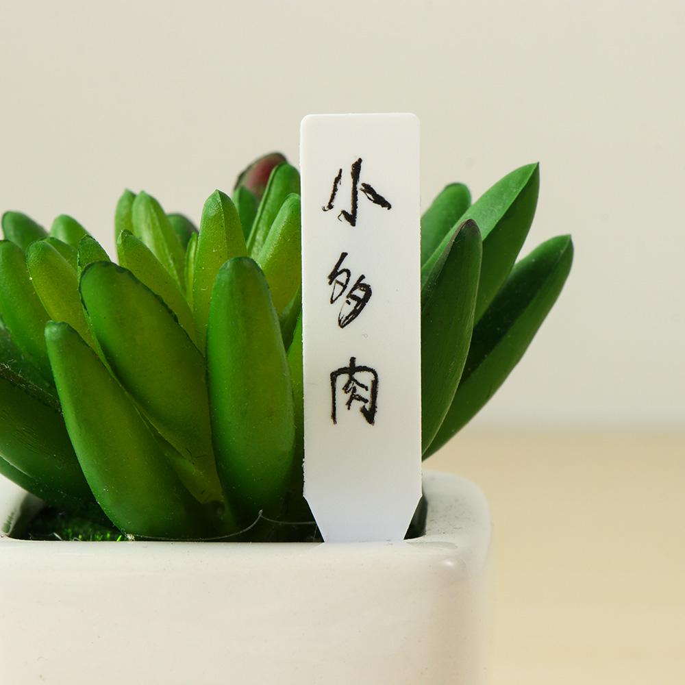 Gardening Tools Labeled - 100 Etiquetas Reutilizáveis Impermeáveis para Classificação