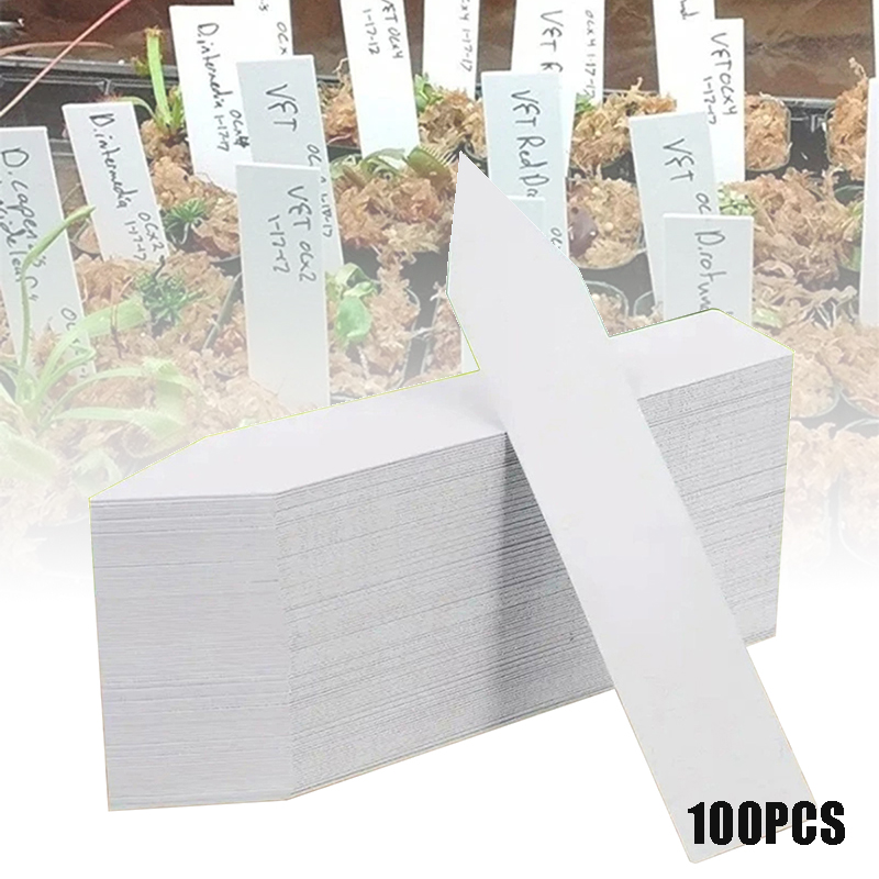 Gardening Tools Labeled - 100 pçs etiquetas de plantas de