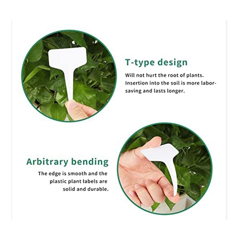 Gardening Tools Names - Etiquetas de plantas RANA 300 unidades