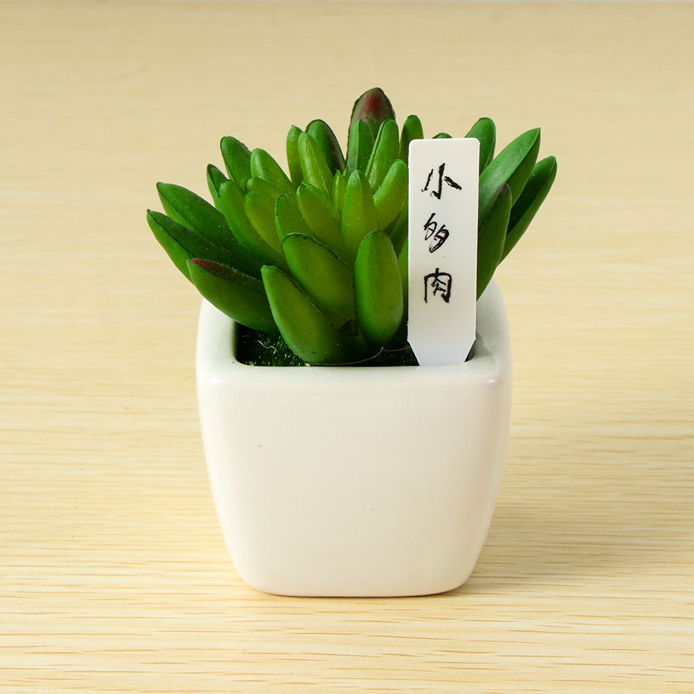 Mini Planta Planta Planta Plás - Gardening Tools Labeled avaliação e preço