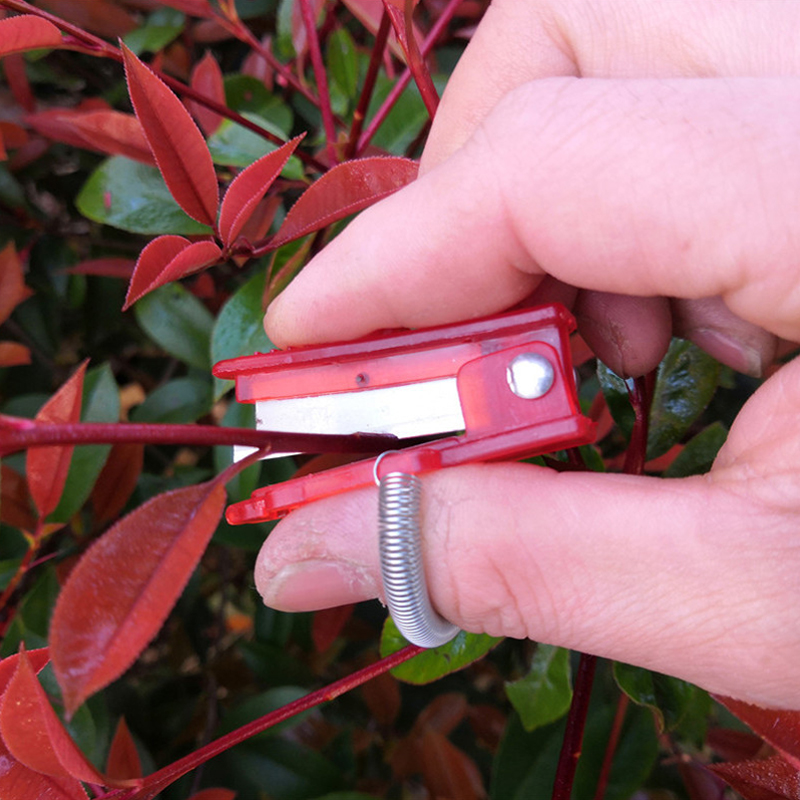 1/2/3pcs Vegetal Thump Faca Se - Harvest Knife Garden avaliação e preço