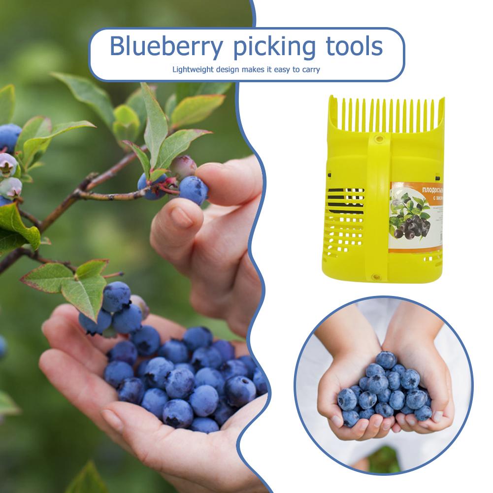 Pente Apanhador de Frutas para - Gardening Tools Rake avaliação e preço