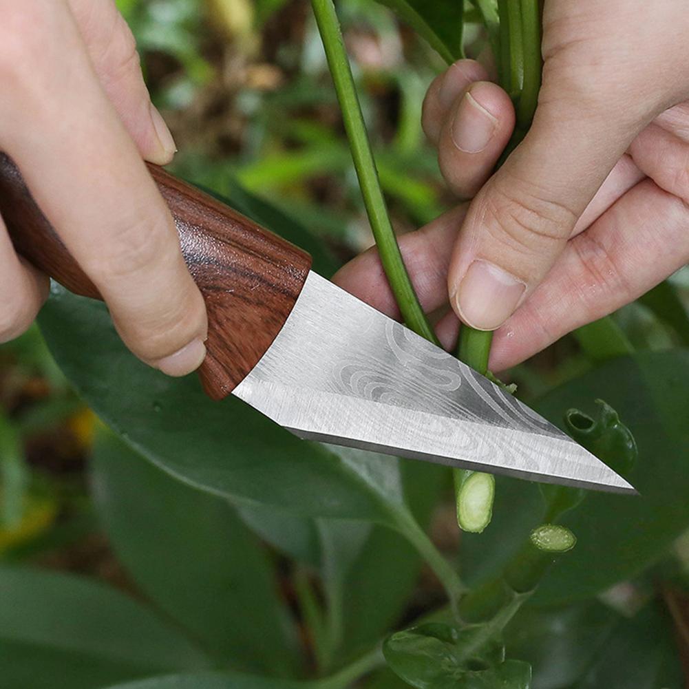 Faca de Enxertia Profissional  - Harvest Knife Garden avaliação e preço
