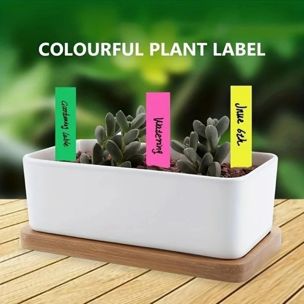 100 Etiquetas de Plantas para  - Gardening Tools Labeled avaliação e preço