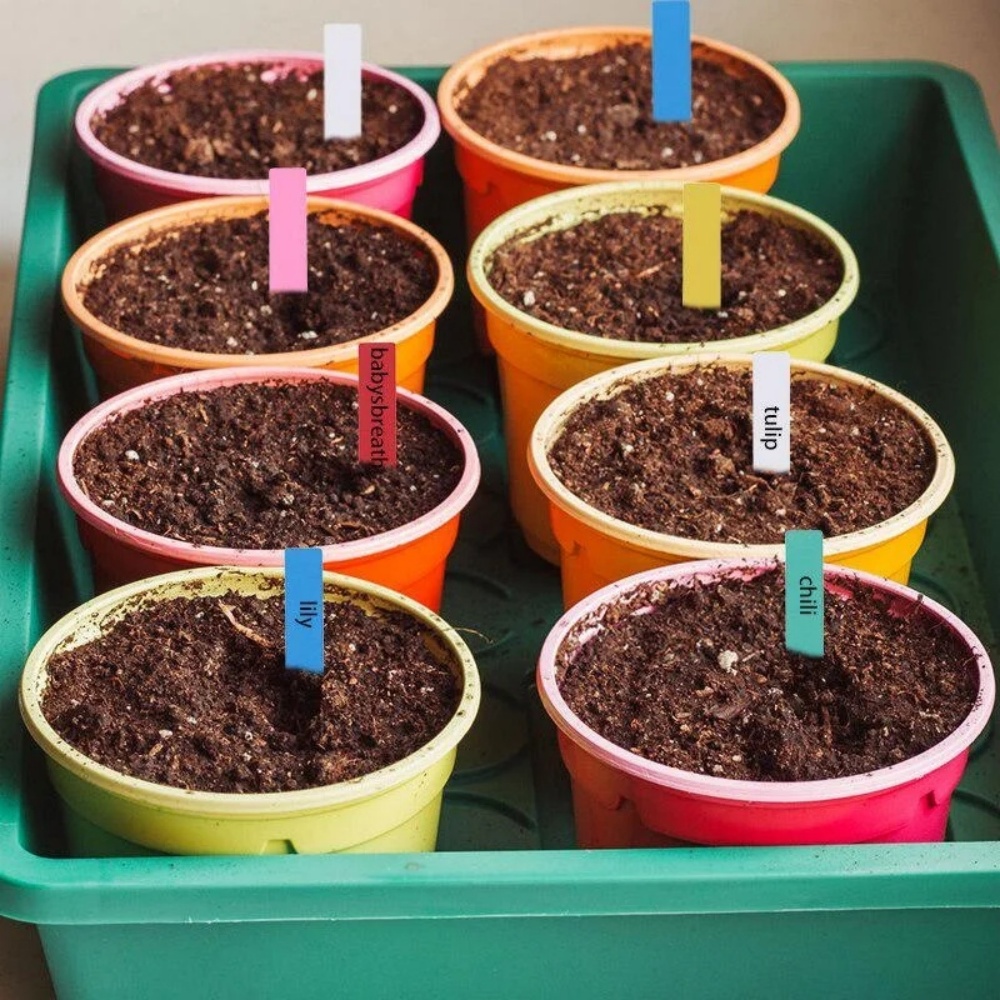 100 Etiquetas de Plantas para  - Gardening Tools Labeled avaliação e preço