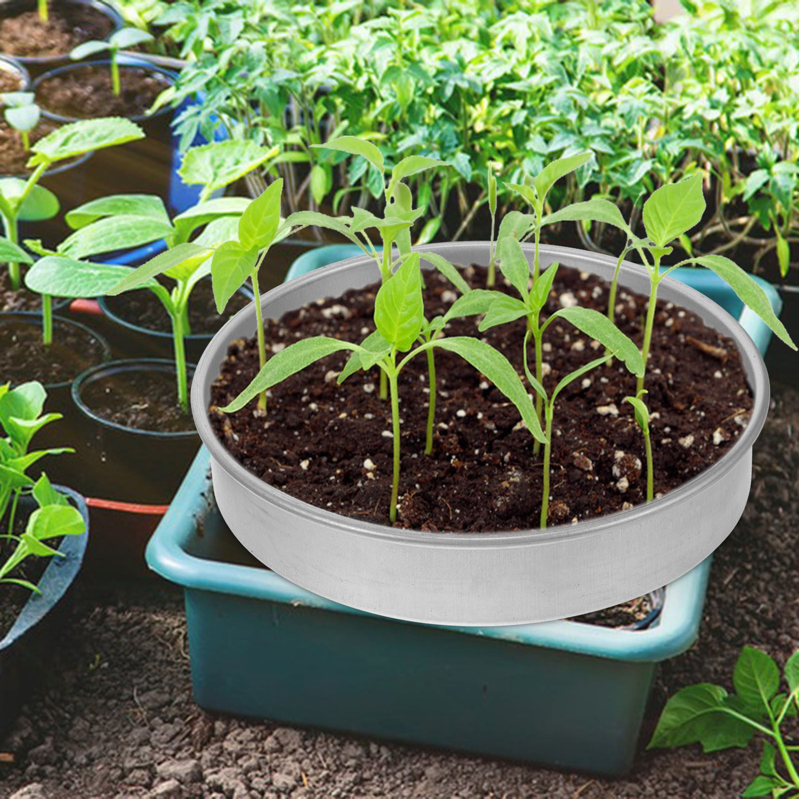 Conjunto de Bandejas de Germin - Seed Starter Trays avaliação e preço