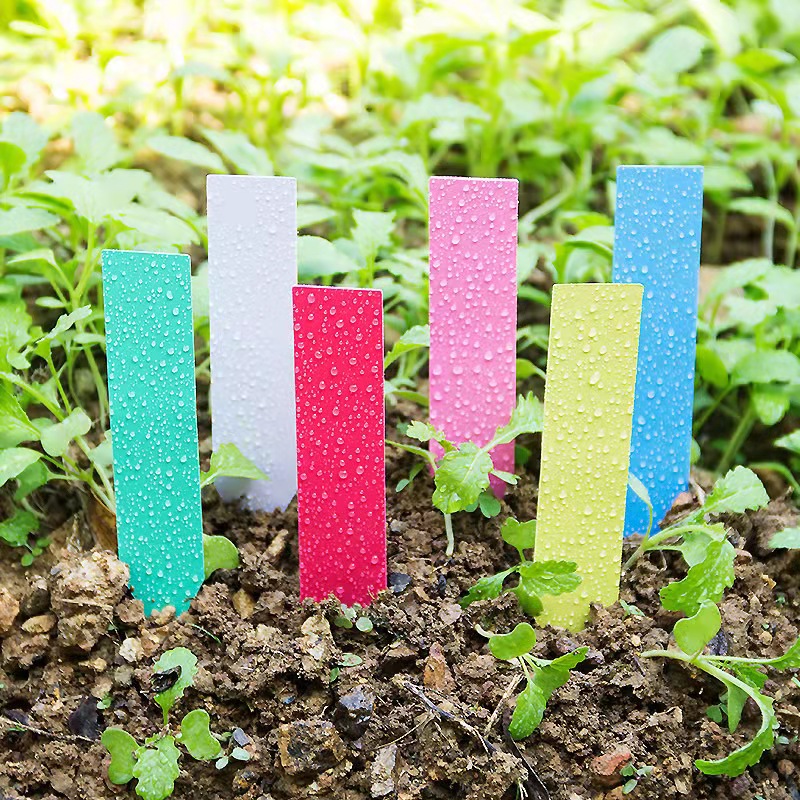 100 peças etiquetas de plantas - Gardening Tools Labeled avaliação e preço