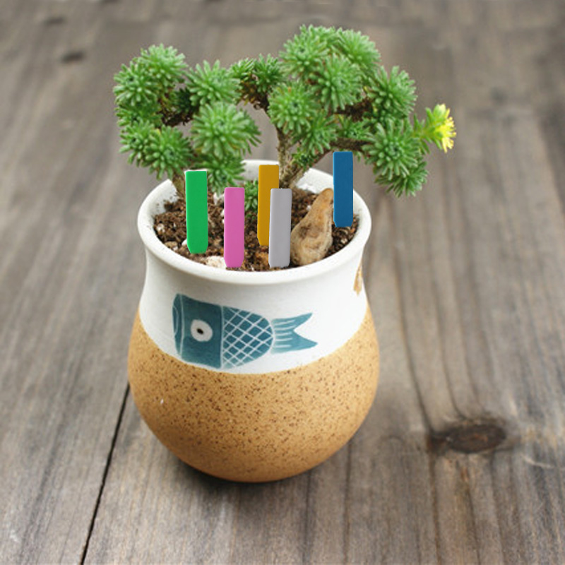 100 peças etiquetas de plantas - Gardening Tools Labeled avaliação e preço