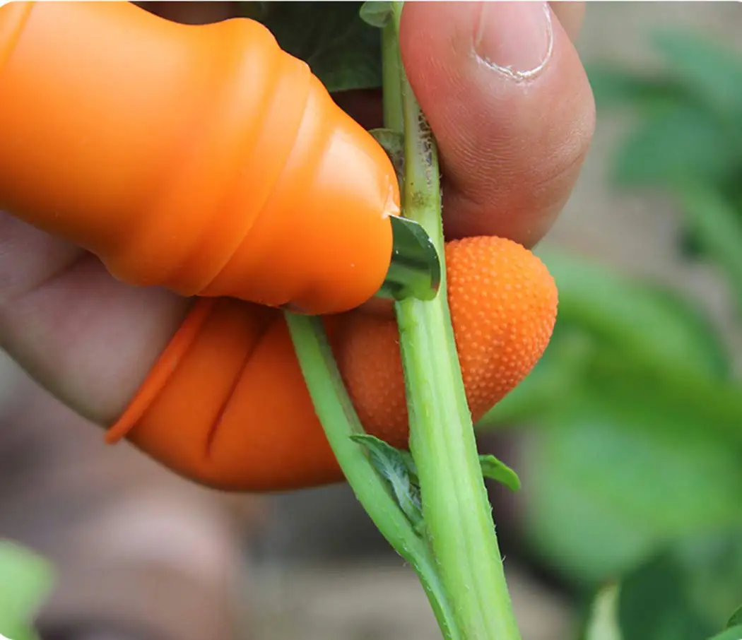 Protetor de Dedo em Silicone p - Harvest Knife Garden avaliação e preço