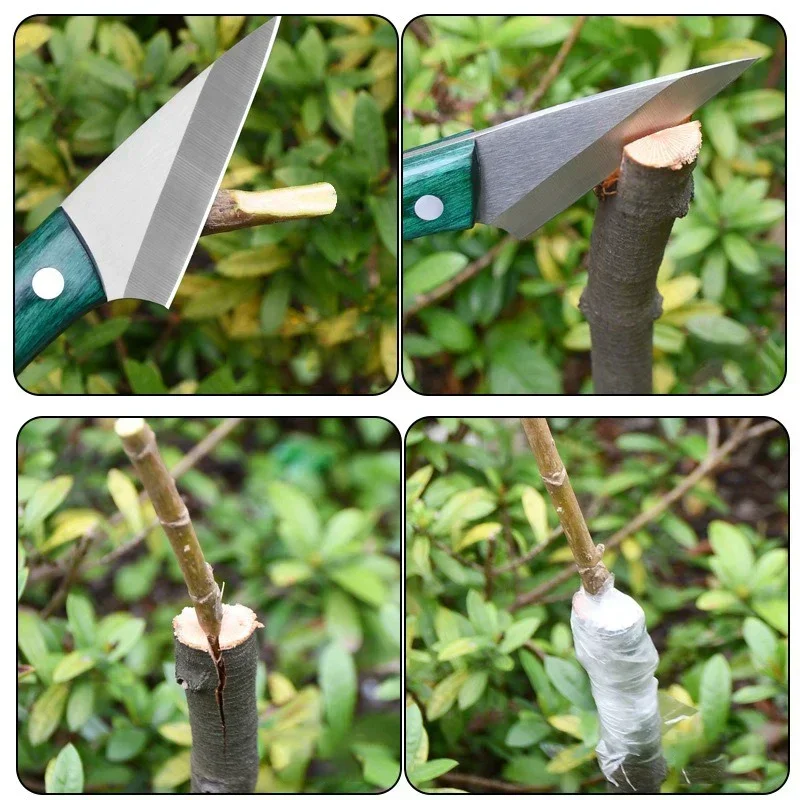 Faca de enxerto de aço inoxidá - Harvest Knife Garden avaliação e preço