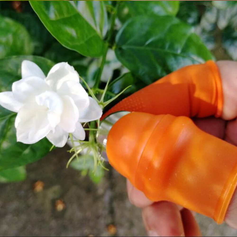 Faca de silicone para jardim c - Harvest Knife Garden avaliação e preço