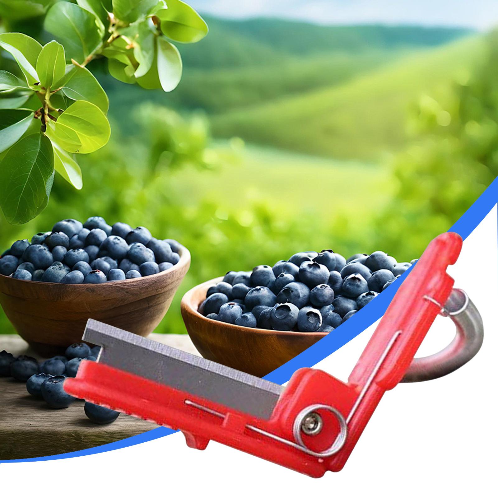Faca Multifuncional para Jardi - Harvest Knife Garden avaliação e preço