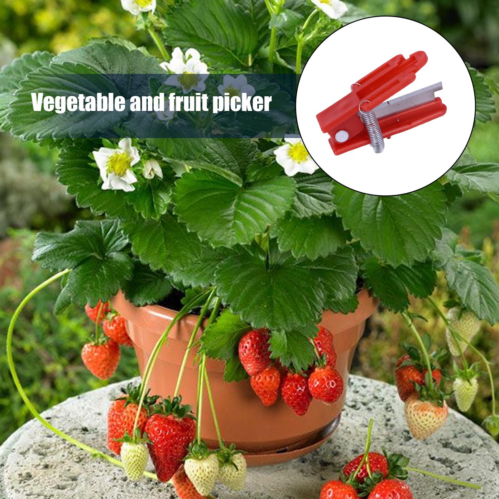 Faca Multifuncional para Jardi - Harvest Knife Garden avaliação e preço