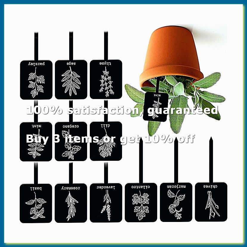 24 Etiquetas de Acrílico para  - Gardening Tools Names avaliação e preço
