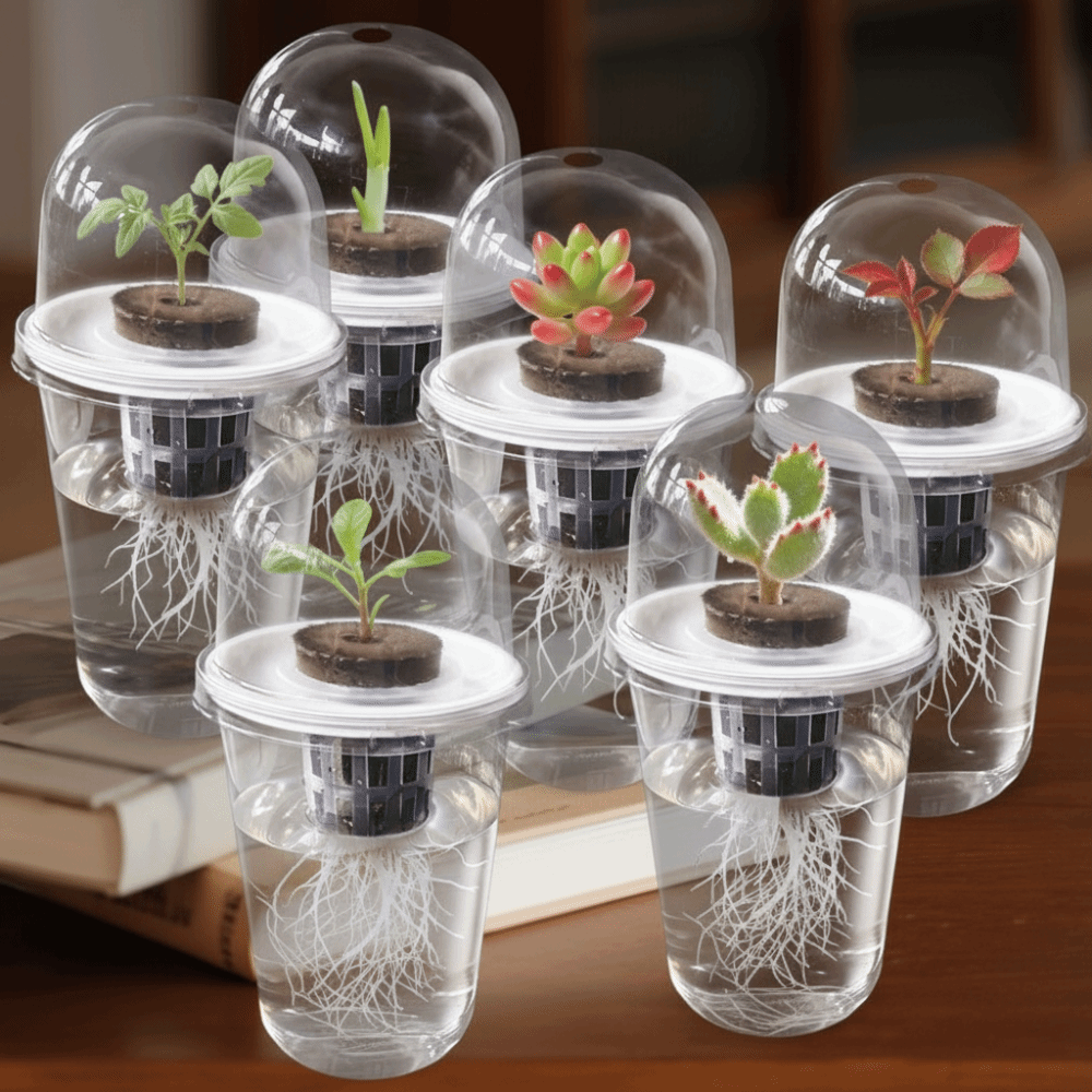1-5 unidades Copos de Germinaç - Seed Starter Trays avaliação e preço