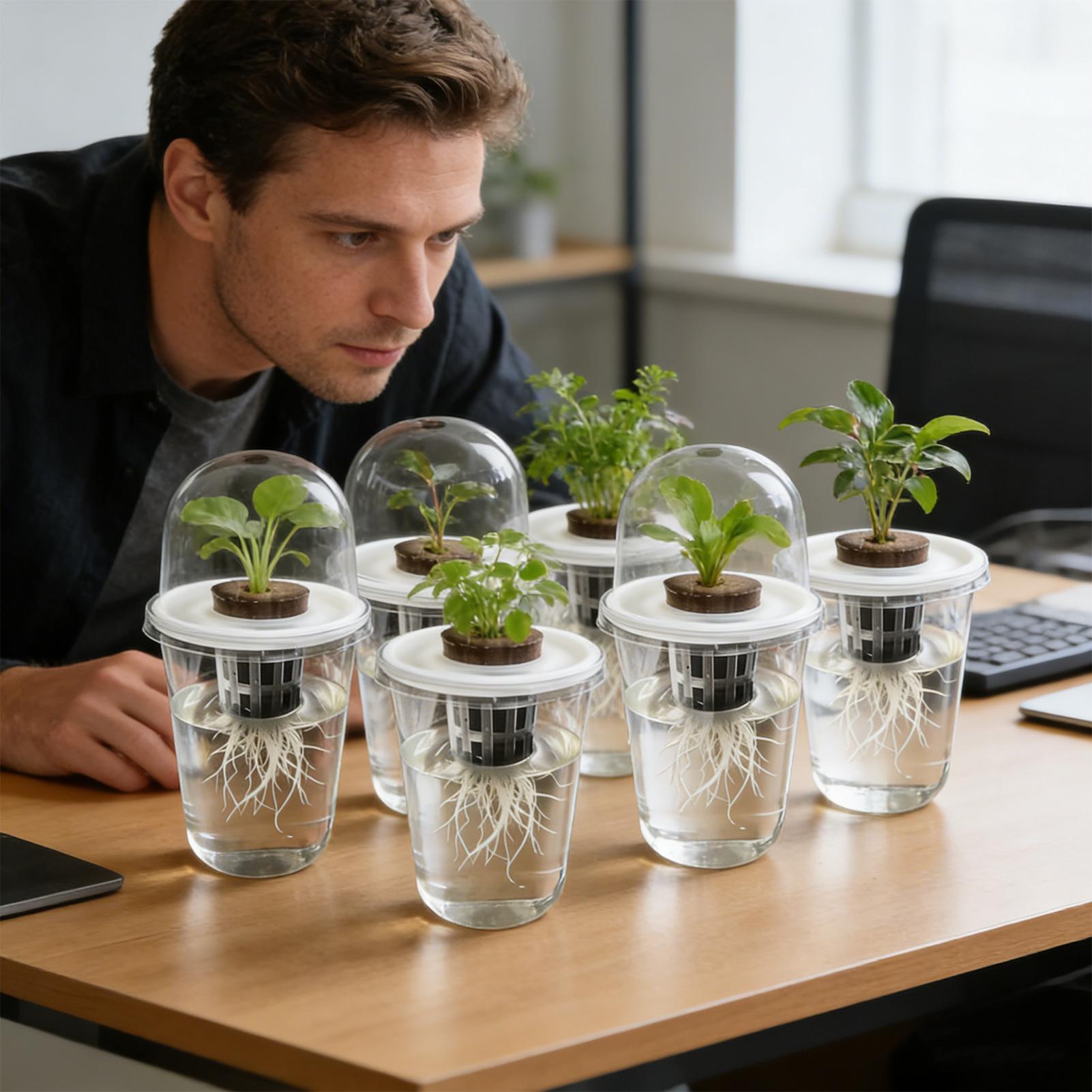 1-5 unidades Copos de Germinaç - Seed Starter Trays avaliação e preço