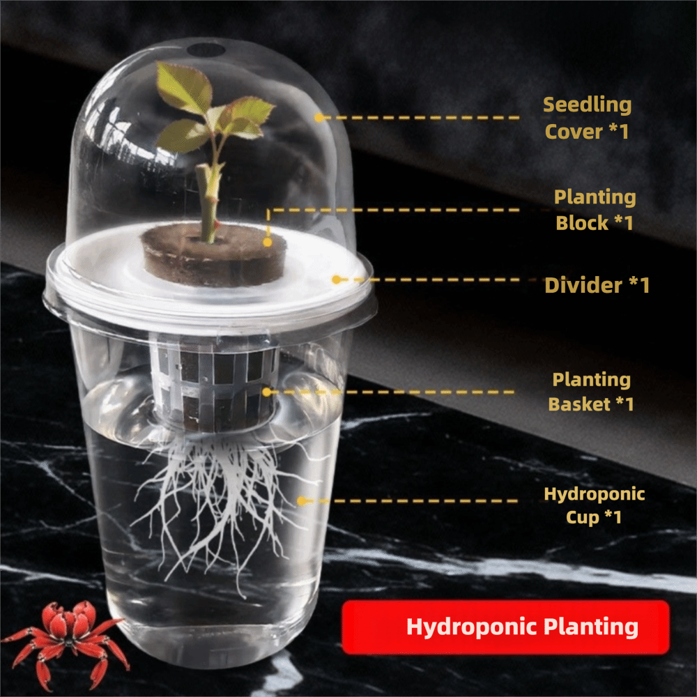 1-5 unidades Copos de Germinaç - Seed Starter Trays avaliação e preço