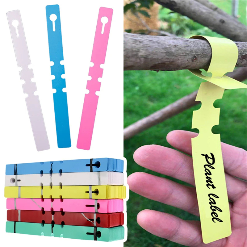 100-200pcs Marcadores de Plant - Gardening Tools Labeled avaliação e preço