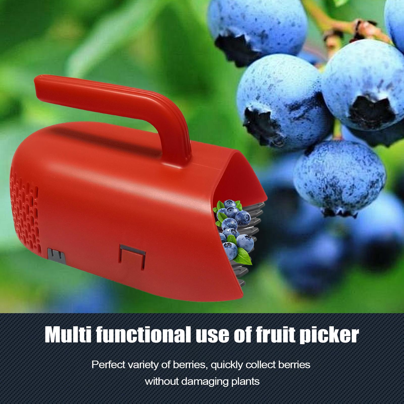 Colhedor de Frutas com Cabo Er - Gardening Tools Rake avaliação e preço