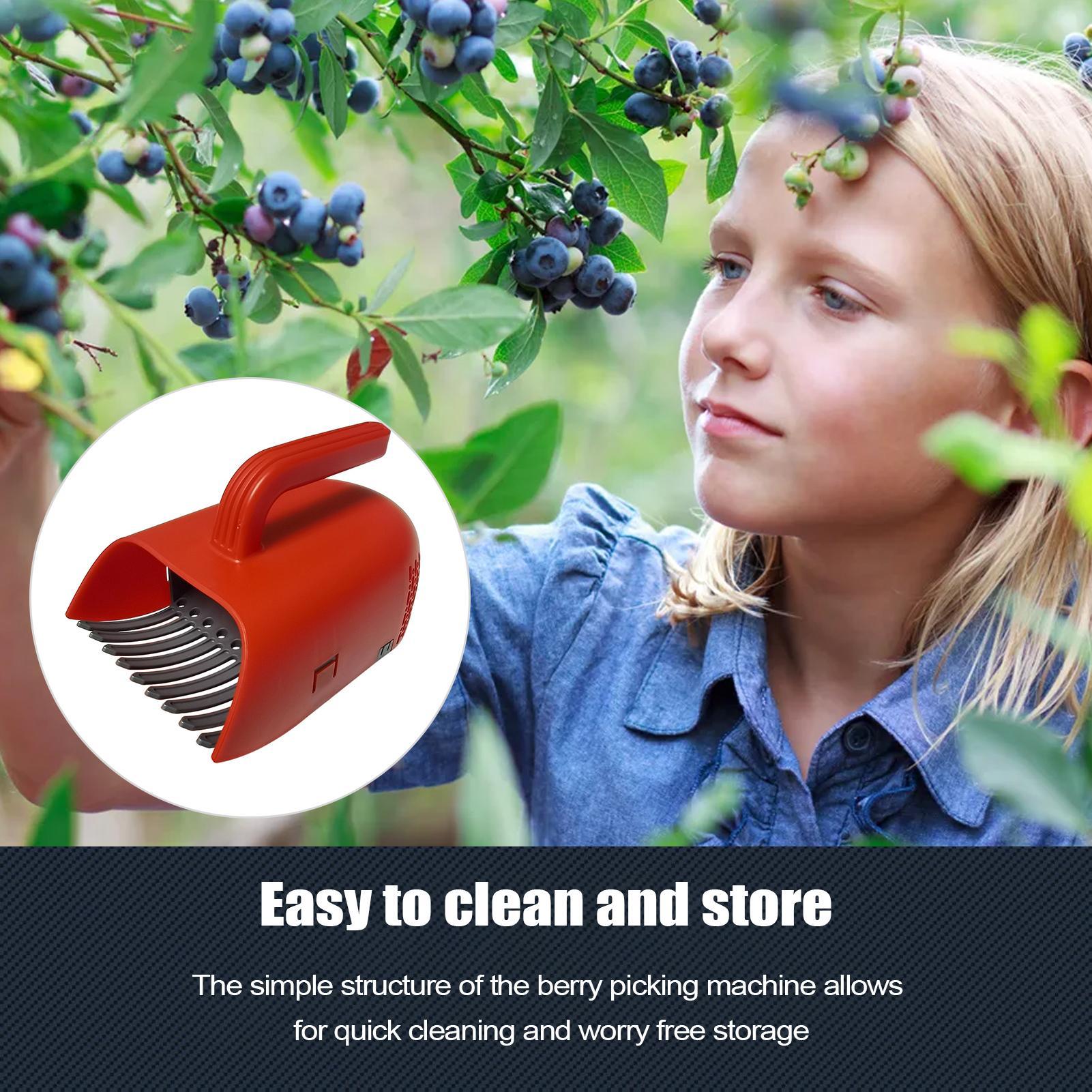 Colhedor de Frutas com Cabo Er - Gardening Tools Rake avaliação e preço