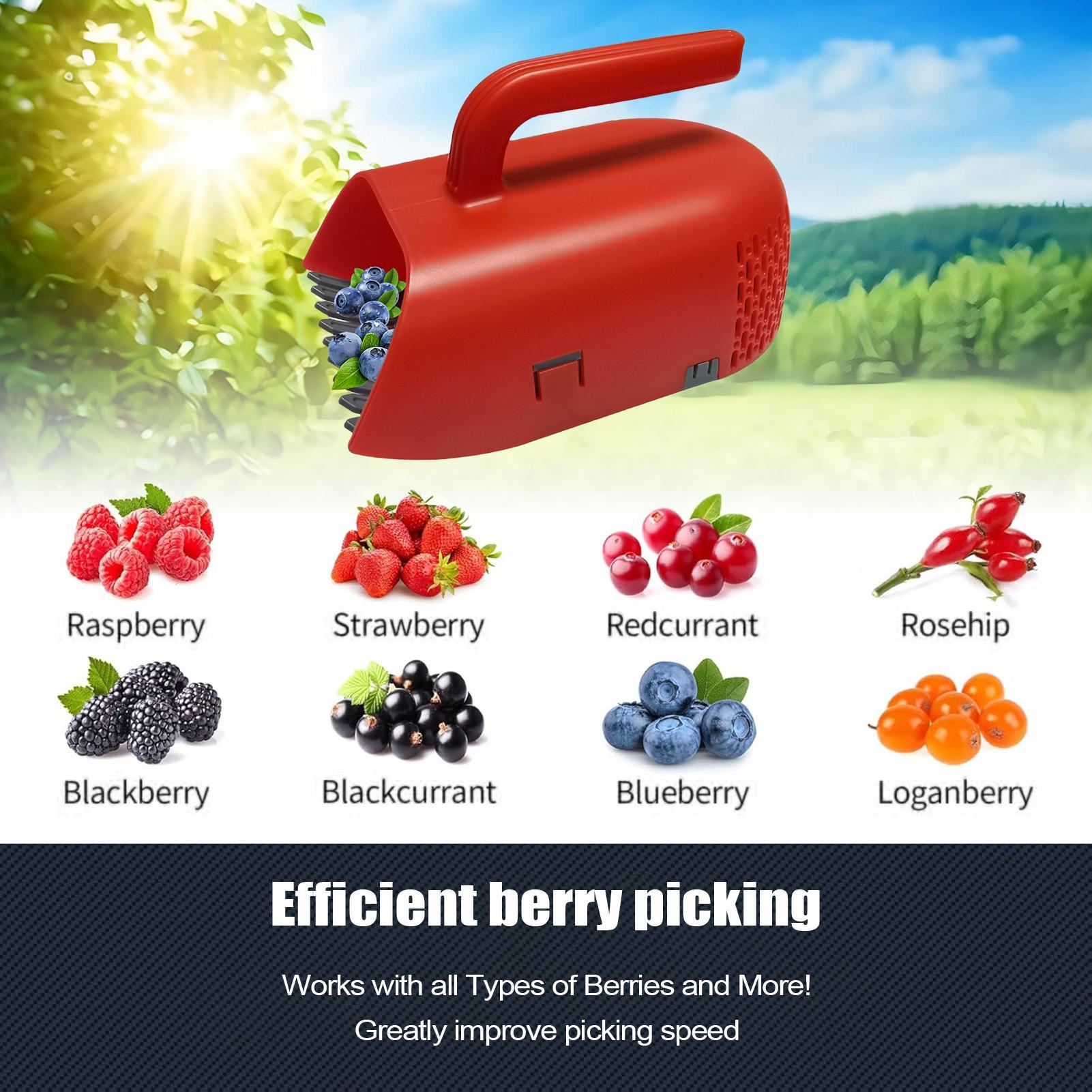 Colhedor de Frutas com Cabo Er - Gardening Tools Rake avaliação e preço