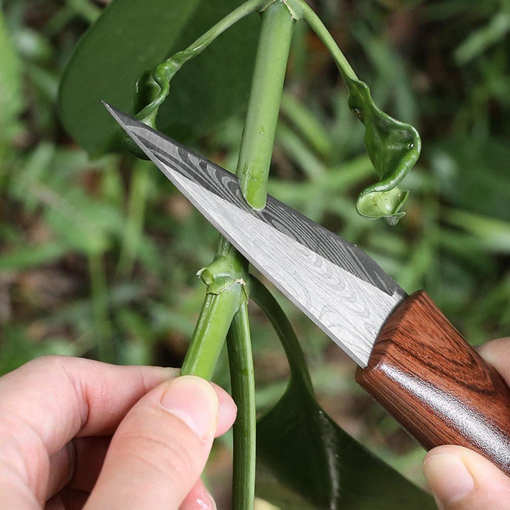 Faca de Enxertia Afiada com Ca - Harvest Knife Garden avaliação e preço
