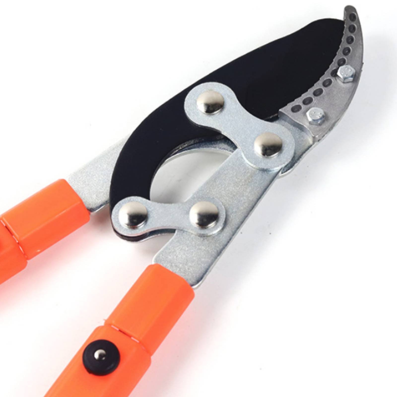 Podadores de Galhos Telescópic - Gardening Tools In avaliação e preço