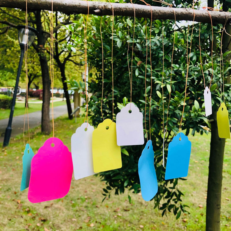100 pçs etiquetas de plantas c - Gardening Tools Labeled avaliação e preço