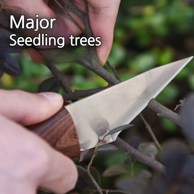 Faca de enxerto com cabo de ma - Harvest Knife Garden avaliação e preço