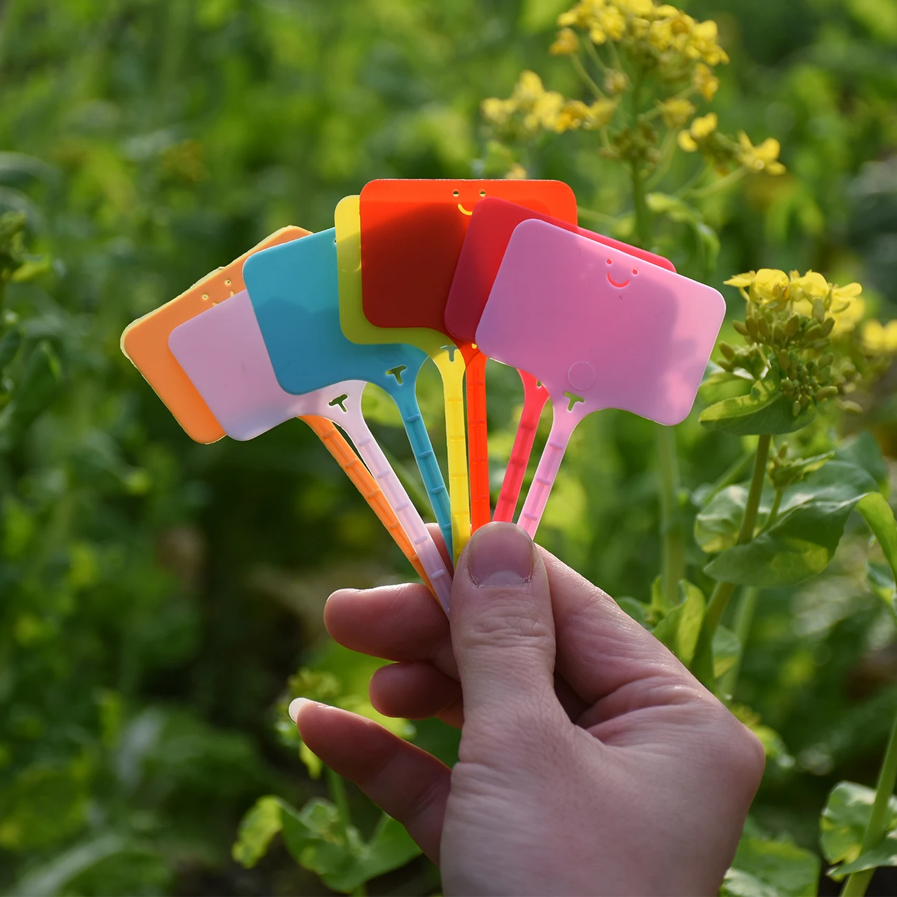 Etiquetas de plástico para pla - Gardening Tools Labeled avaliação e preço