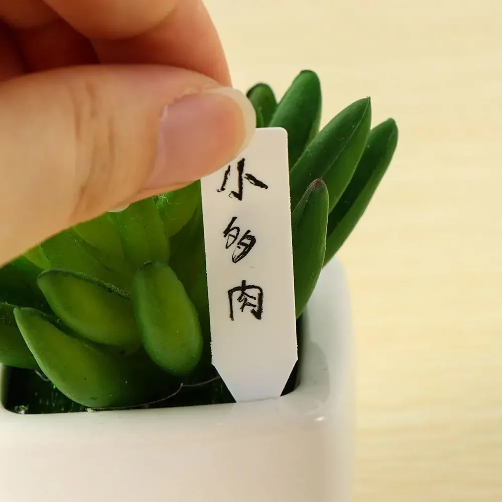 100 pçs marcador de classifica - Gardening Tools Labeled avaliação e preço