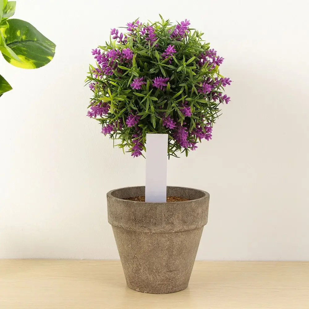 100 pçs marcador de classifica - Gardening Tools Labeled avaliação e preço