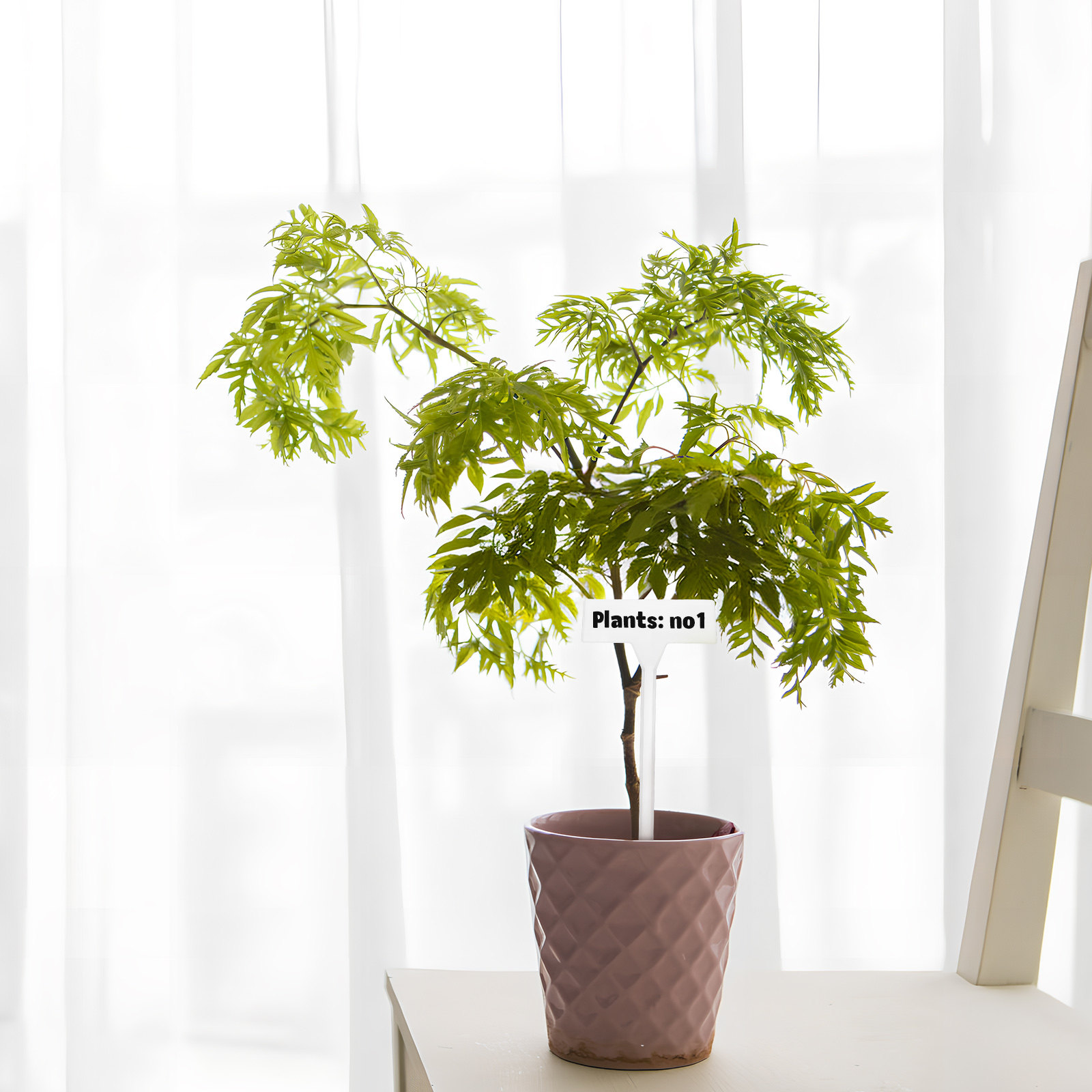 35 Etiquetas de Plástico em Br - Gardening Tools Names avaliação e preço