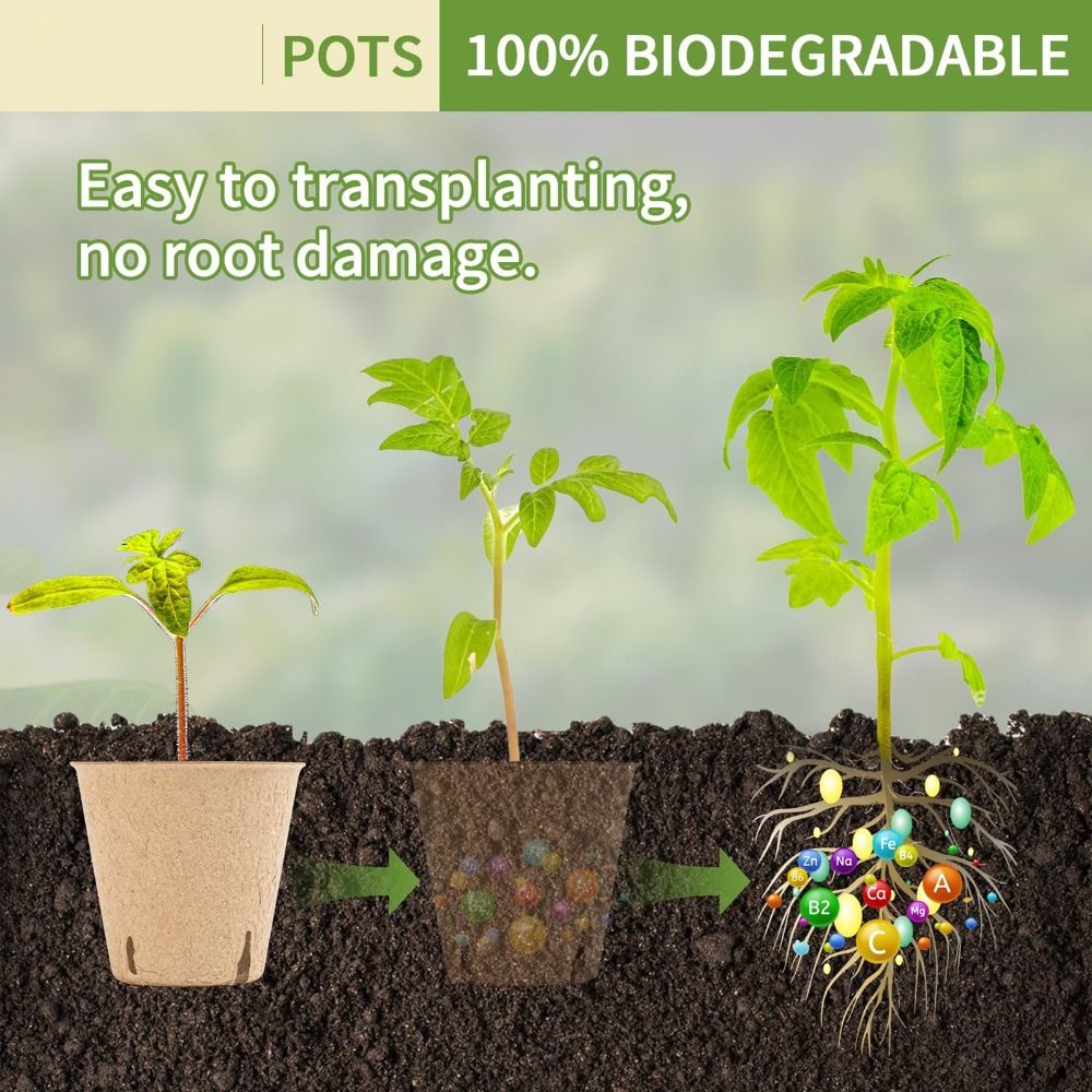 50 Vasos Biodegradáveis para I - Seed Starter Trays avaliação e preço