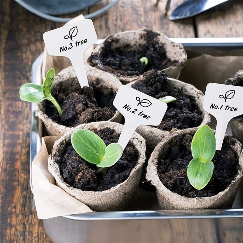 Etiquetas de plantas RANA 300  - Gardening Tools Names avaliação e preço