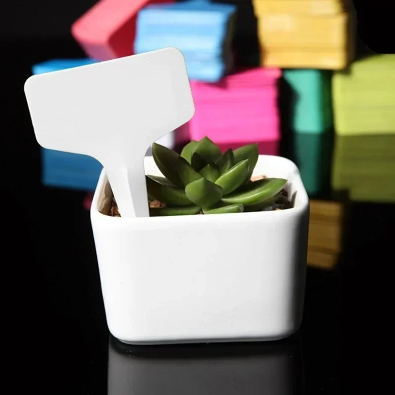 Etiquetas de nome de planta de - Gardening Tools Names avaliação e preço