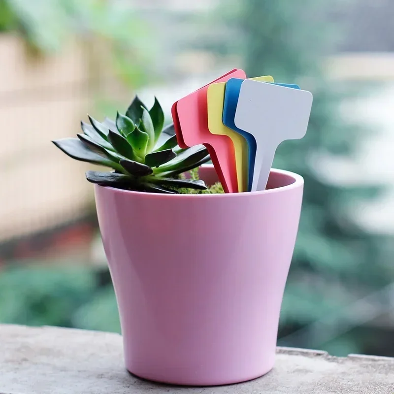 Etiquetas de nome de planta de - Gardening Tools Names avaliação e preço