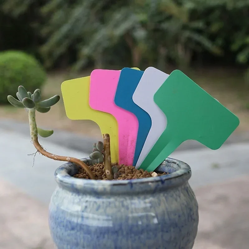 Etiquetas de nome de planta de - Gardening Tools Names avaliação e preço