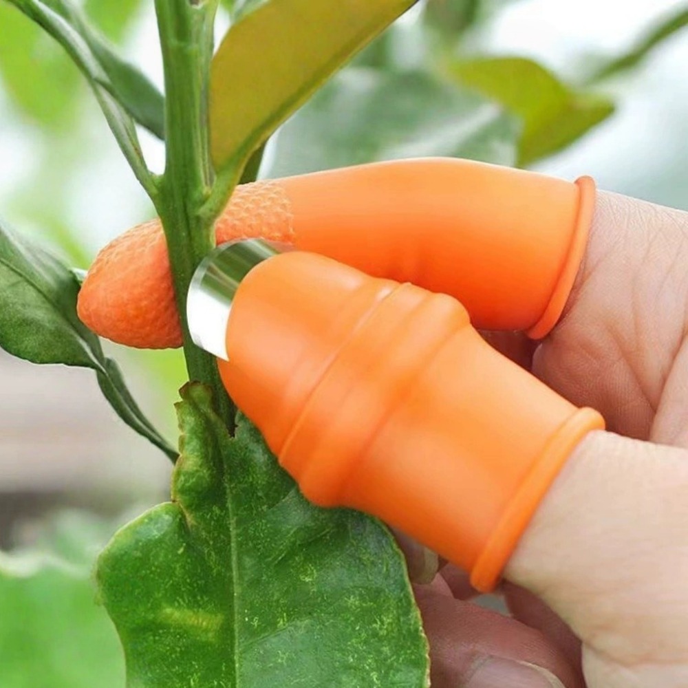 Faca de Polegar em Aço Inoxidá - Harvest Knife Garden avaliação e preço